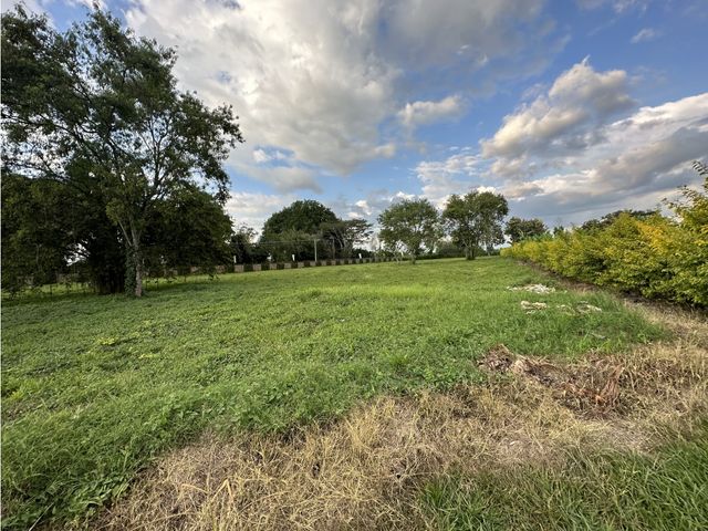 place photo 38