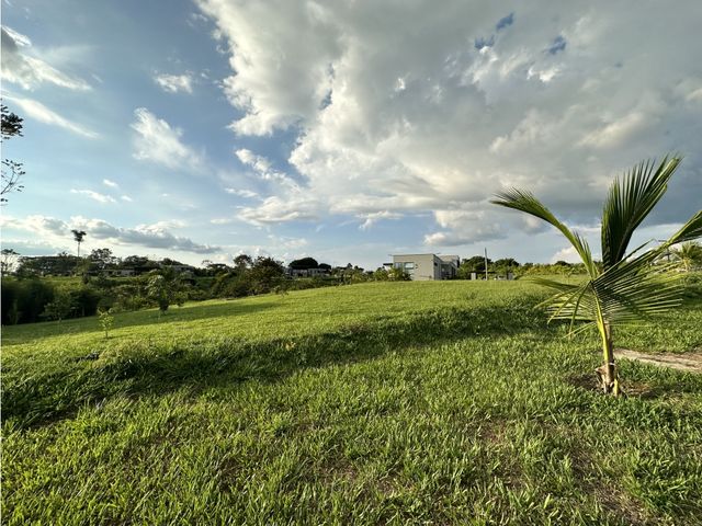 place photo 32