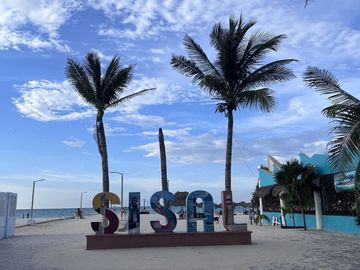 place photo 29