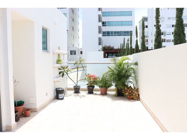 place photo 42