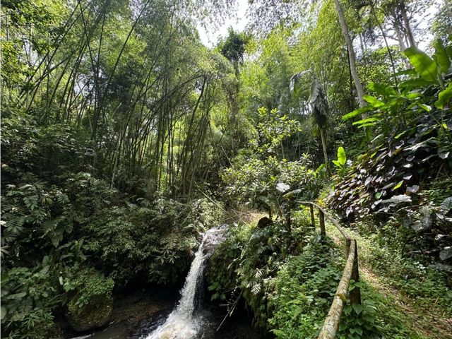 place photo 69