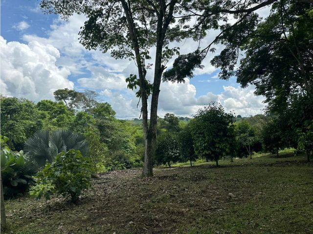 place photo 83