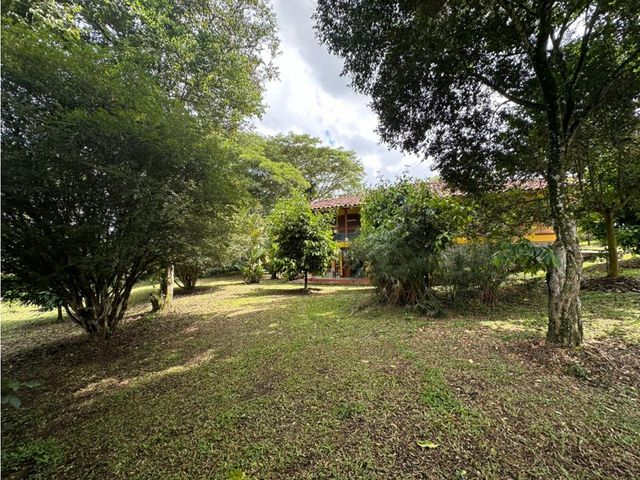 place photo 73