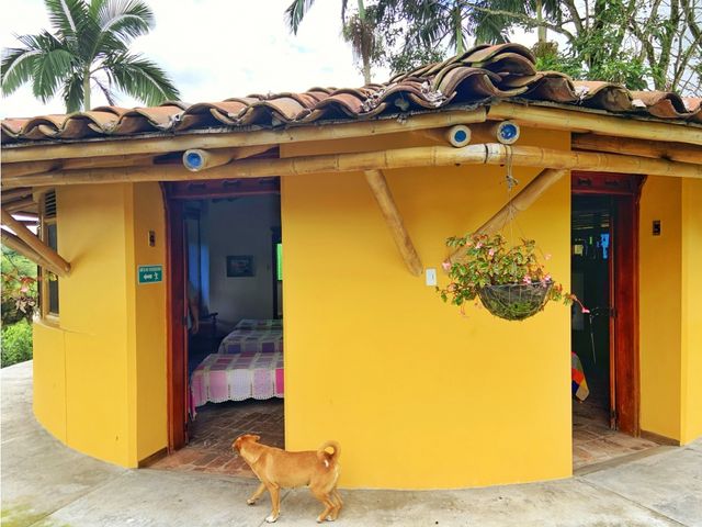 place photo 35