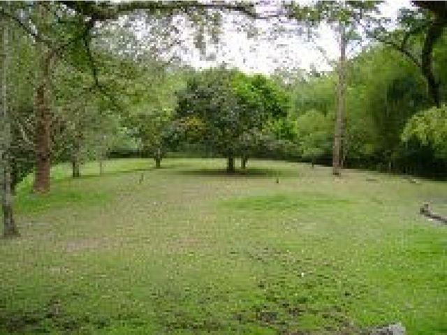 place photo 34