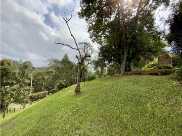 place photo 56