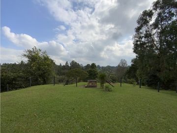 place photo 50