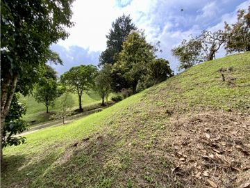 place photo 52