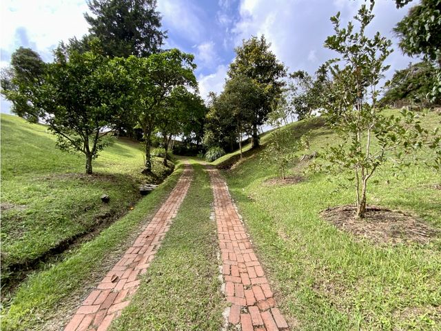 place photo 49