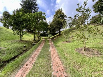 place photo 49