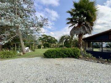 place photo 46