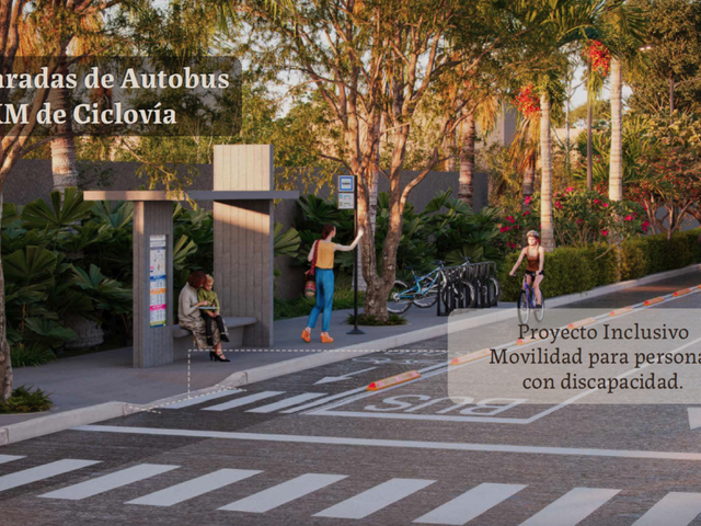 place photo 37