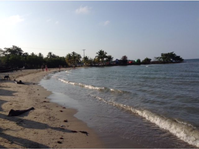 place photo 25
