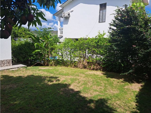 place photo 42