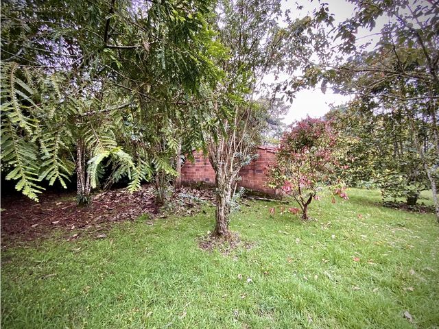 place photo 68