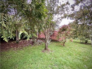 place photo 68