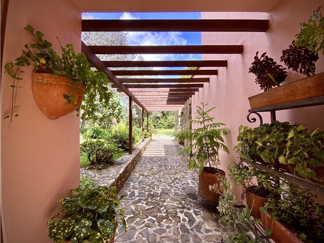 place photo 64