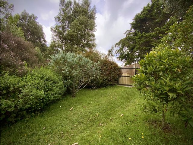 place photo 61