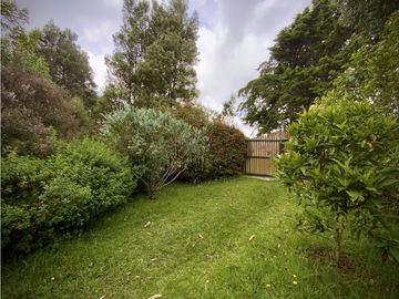place photo 61