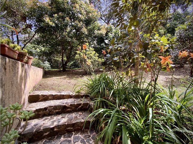 place photo 49
