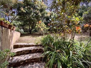 place photo 49