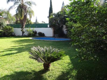 place photo 18