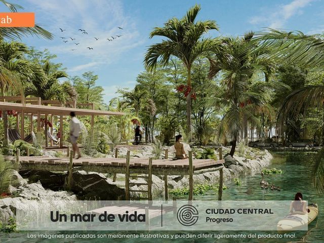 place photo 16