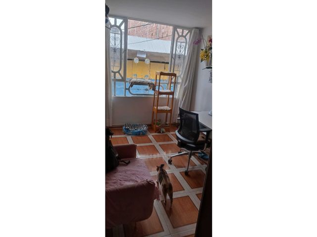 place photo 16