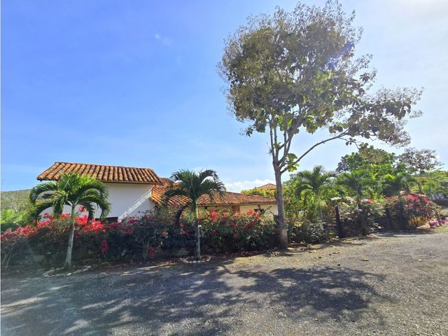 place photo 67