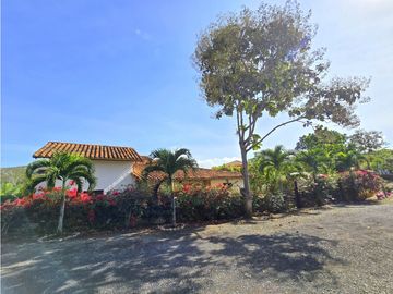place photo 67