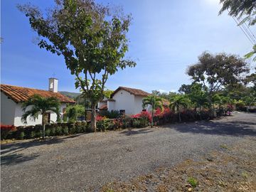 place photo 65