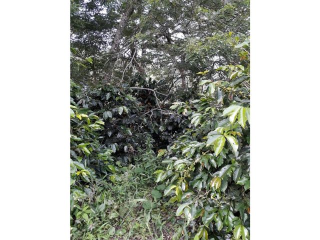 place photo 48