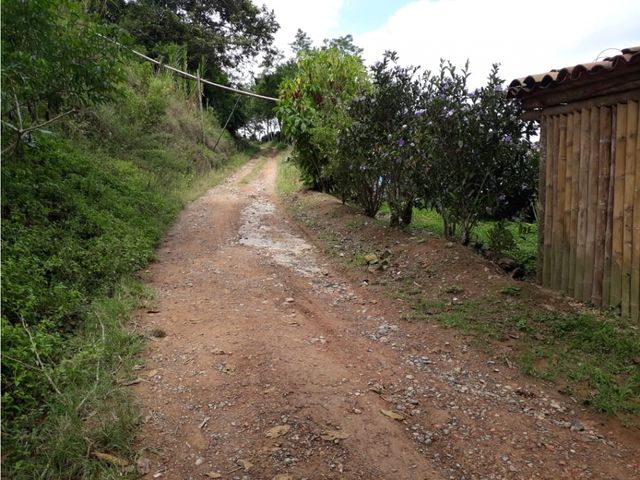 place photo 52