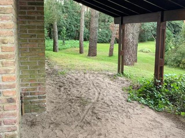 place photo 18