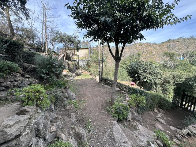 place photo 84