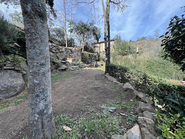 place photo 85