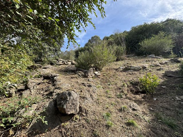 place photo 97