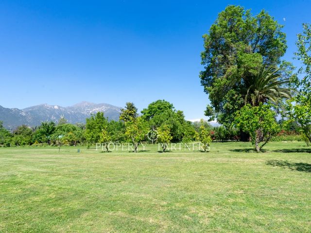 place photo 74