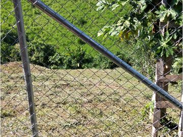 place photo 47