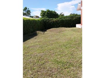 place photo 45
