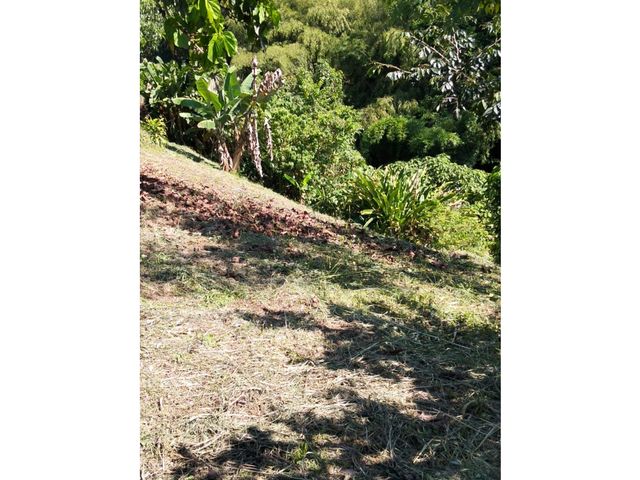 place photo 46