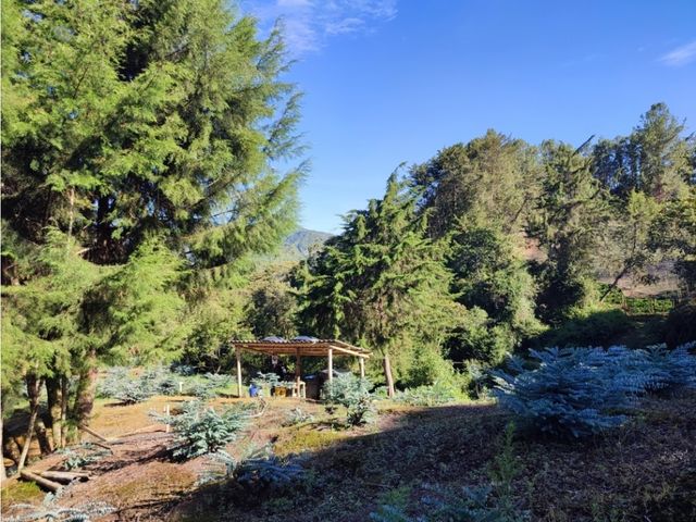 place photo 47