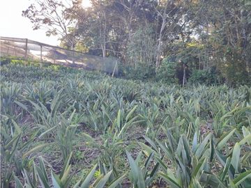 place photo 51