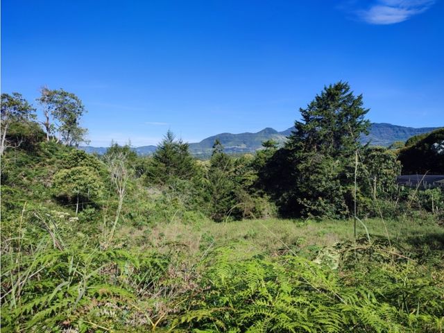 place photo 44