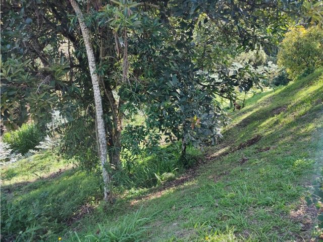 place photo 50