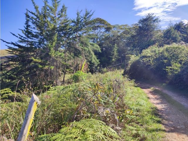 place photo 49