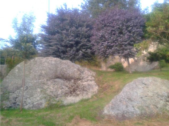 place photo 14