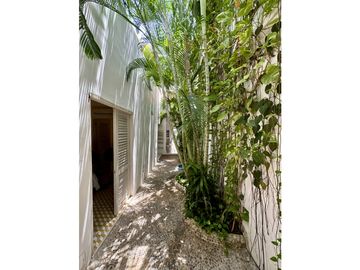 place photo 34
