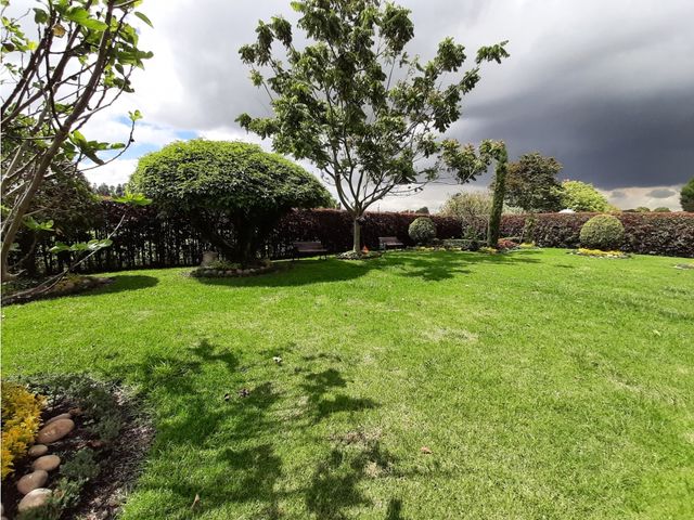 place photo 71