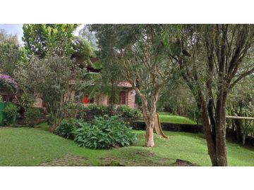 place photo 49
